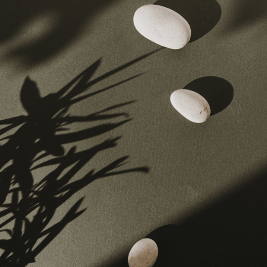 Niyyea-Clinic_Impressie_540x540_025